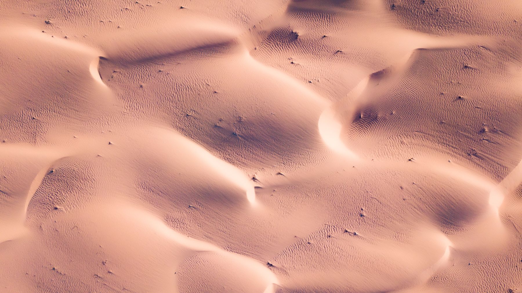 Sweeping patterns in desert sand, photographed from above