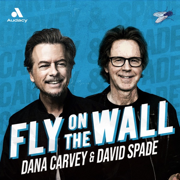 Fly on the Wall cover